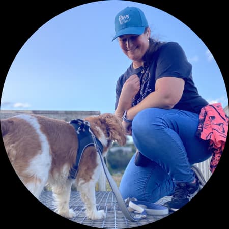 Tauranga rewards based dog trainer