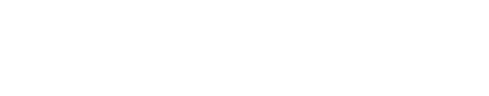 Paws and Thrive — professional dog walking and training in Tauranga