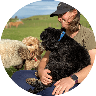Brooke training dogs in Tauranga