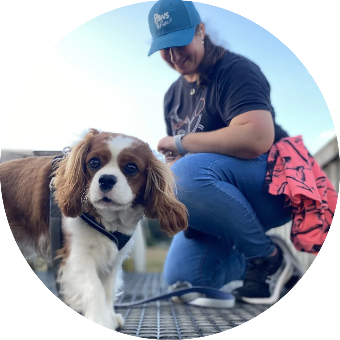 Brooke leading a private dog training consultation in Tauranga