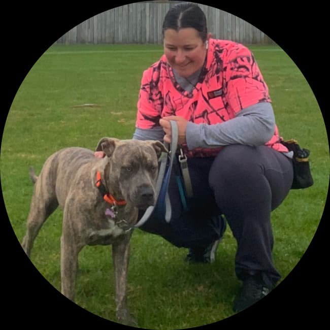 Reactive dog training session in Tauranga with Brooke from Paws and Thrive