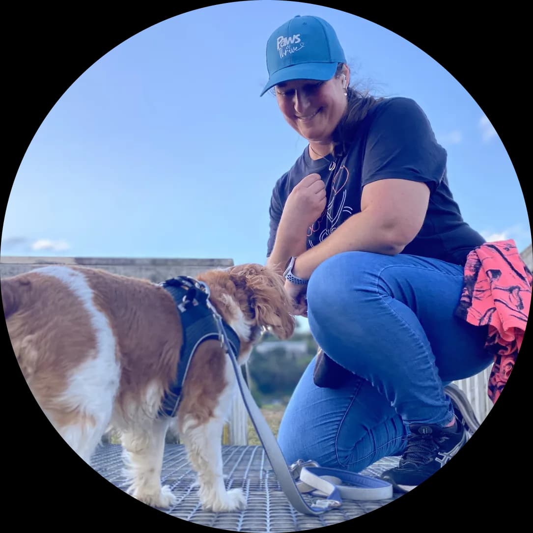 Professional dog walker Brooke feeding Cooper during a Tauranga walk